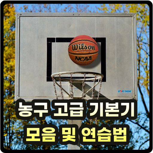 공격 의도를 보여줘 페이크를 섞어줄 수 있는 농구 고급 기본기 모음 및 연습법 글 썸네일