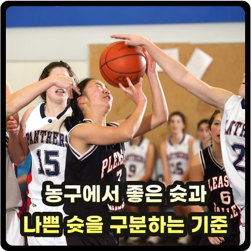 농구에서 좋은 슛과 나쁜 슛을 구분하는 기준 글 썸네일